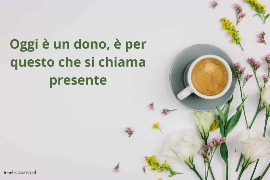 frasi e gif per WhatsApp, Facebook e Instagram