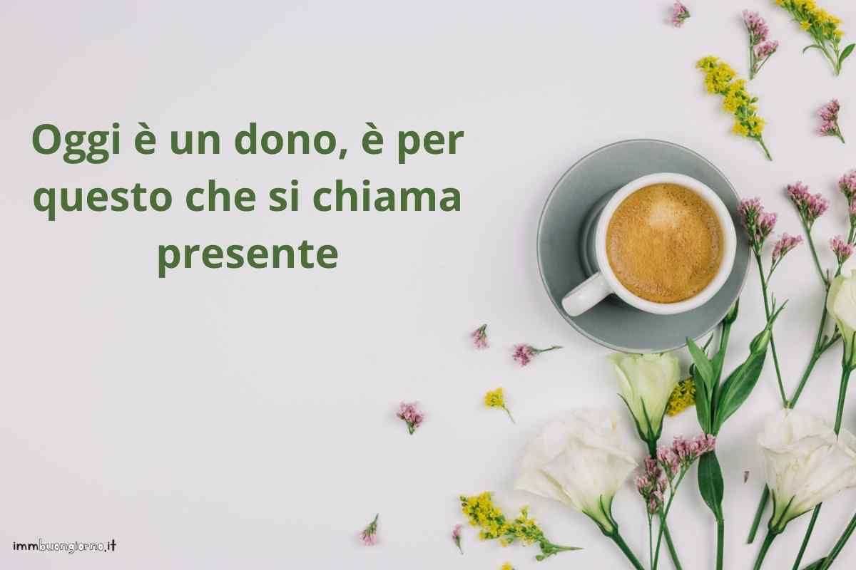 frasi e gif per WhatsApp, Facebook e Instagram