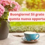 frasi e gif per WhatsApp, Facebook e Instagram