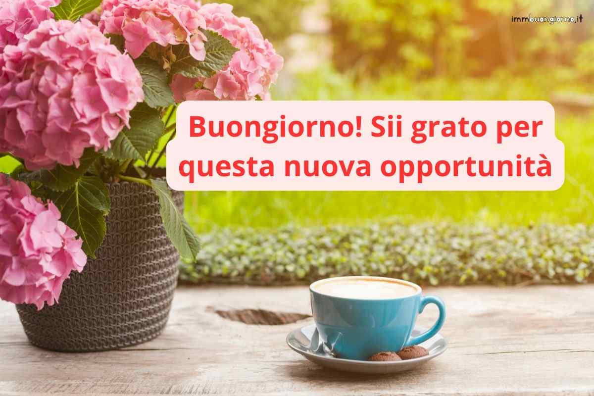 frasi e gif per WhatsApp, Facebook e Instagram