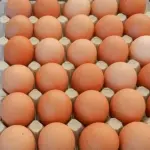 Allerta uova: ecco cosa possono contenere, attenzione