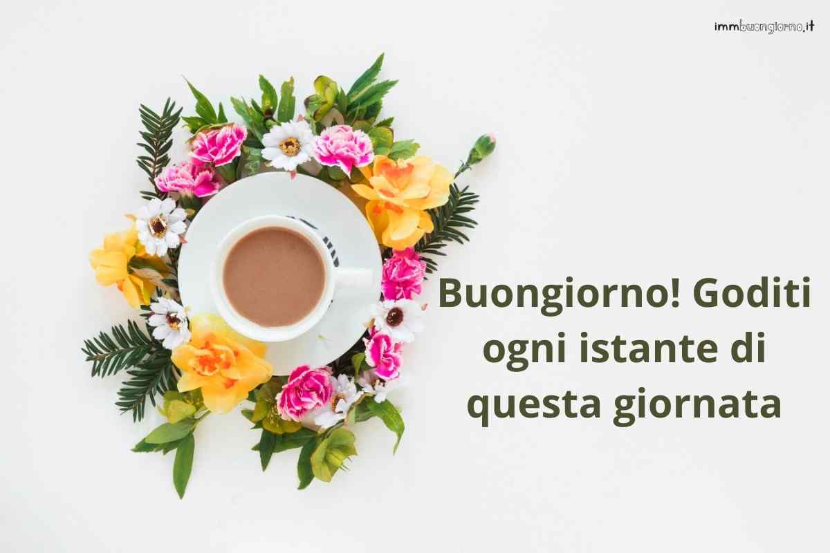 Buon lunedì | 29 gennaio 2024: frasi e immagini gratis per il tuo buongiorno