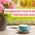 frasi e gif per WhatsApp, Facebook e Instagram