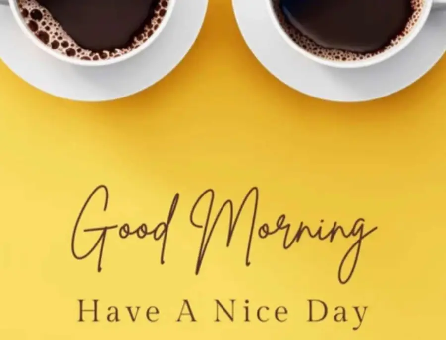 le più belle di oggi 28 Gennaio 2024 per Instagram, Whatsapp e Facebook