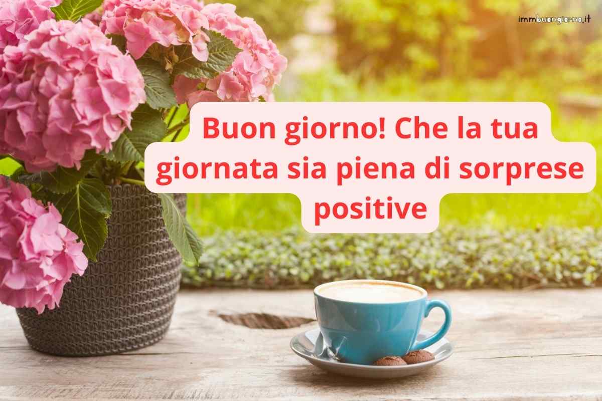 Buon mercoledì | 24 gennaio 2024: frasi e immagini gratis per il tuo buongiorno