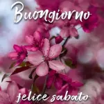 Frasi buongiorno sabato 2 Dicembre 2023: ecco le migliori gratis