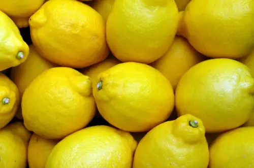 Mangiare limoni ogni sera: ecco le conseguenze sul nostro organismo