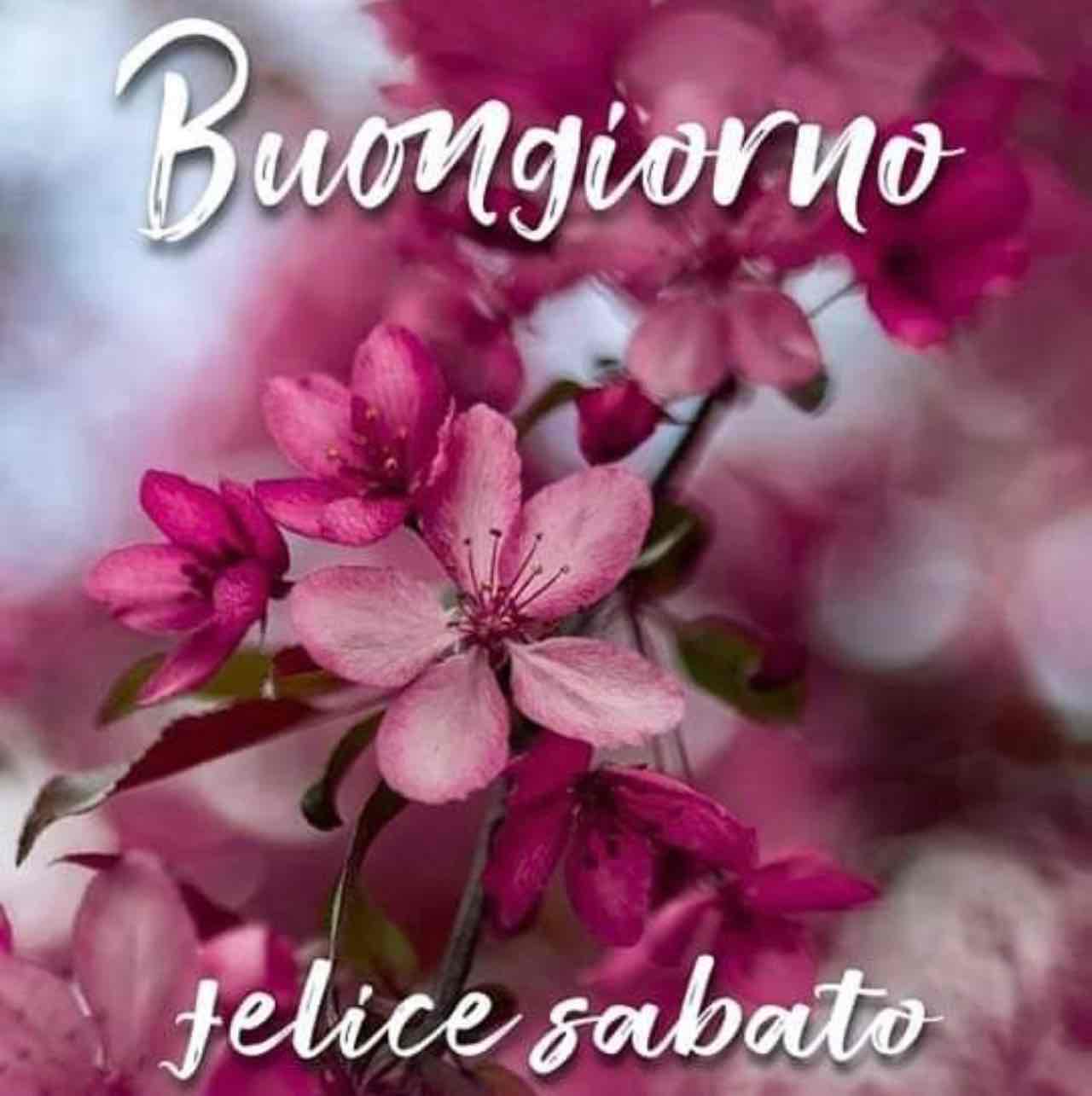 Frasi buongiorno sabato 2 Dicembre 2023: ecco le migliori gratis