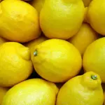 Mangiare limoni ogni sera: ecco le conseguenze sul nostro organismo