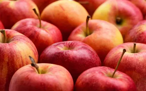 Mangiare una mela prima di dormire: ecco cosa accade, incredibile