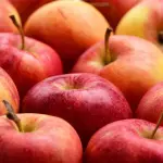 Mangiare una mela prima di dormire: ecco cosa accade, incredibile