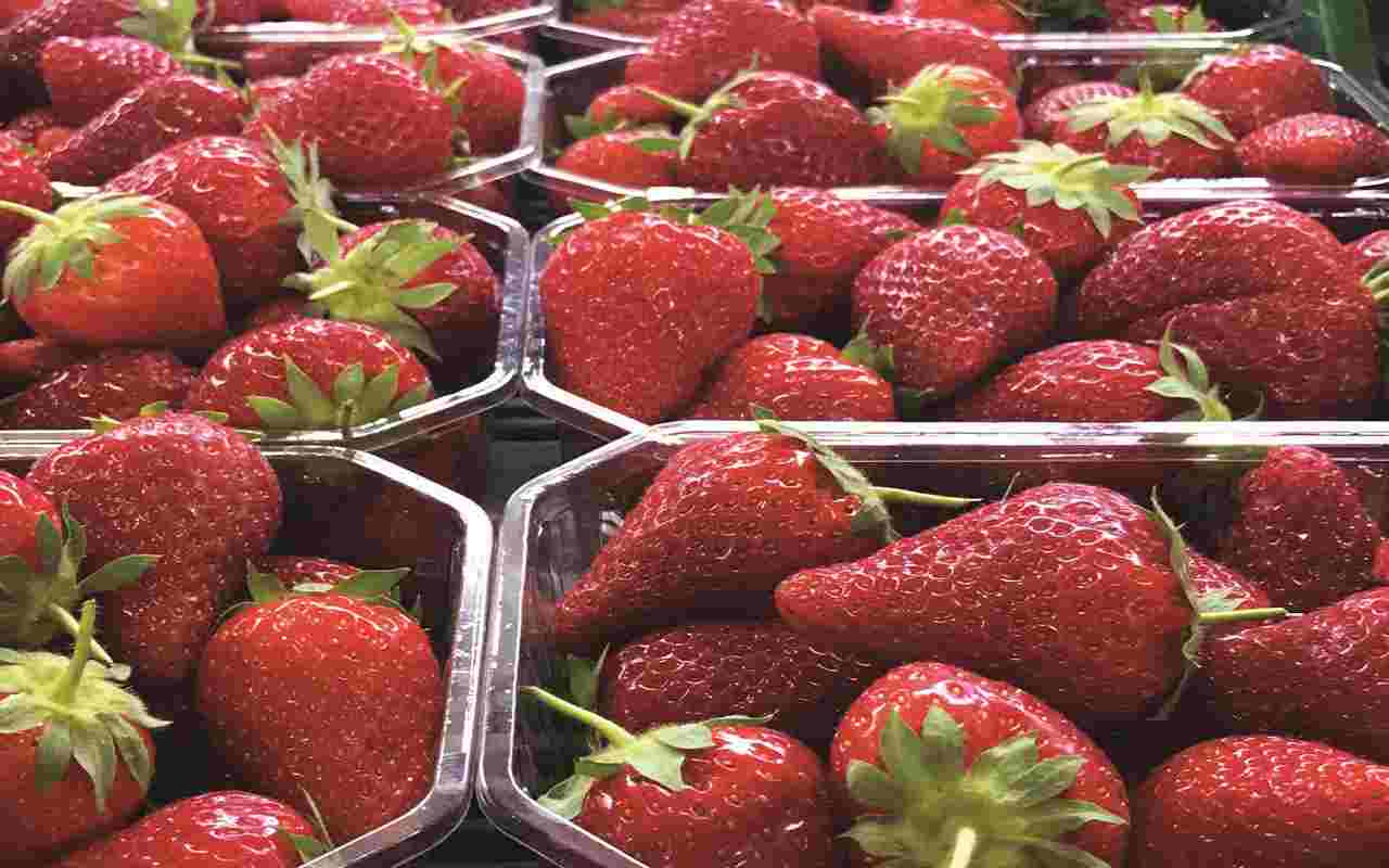 Fragole piene di pesticidi: attenzione, ecco cosa si rischia