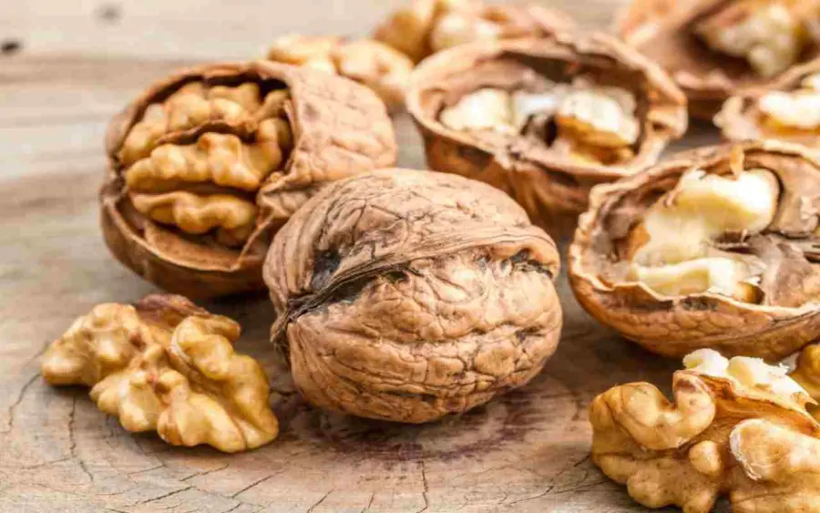 Mangiare noci tutti i giorni: ecco perchè è bene farlo