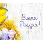 ecco le migliori gratis per WhatsApp, Instagram e Facebook