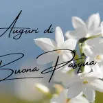 ecco le più belle gratis