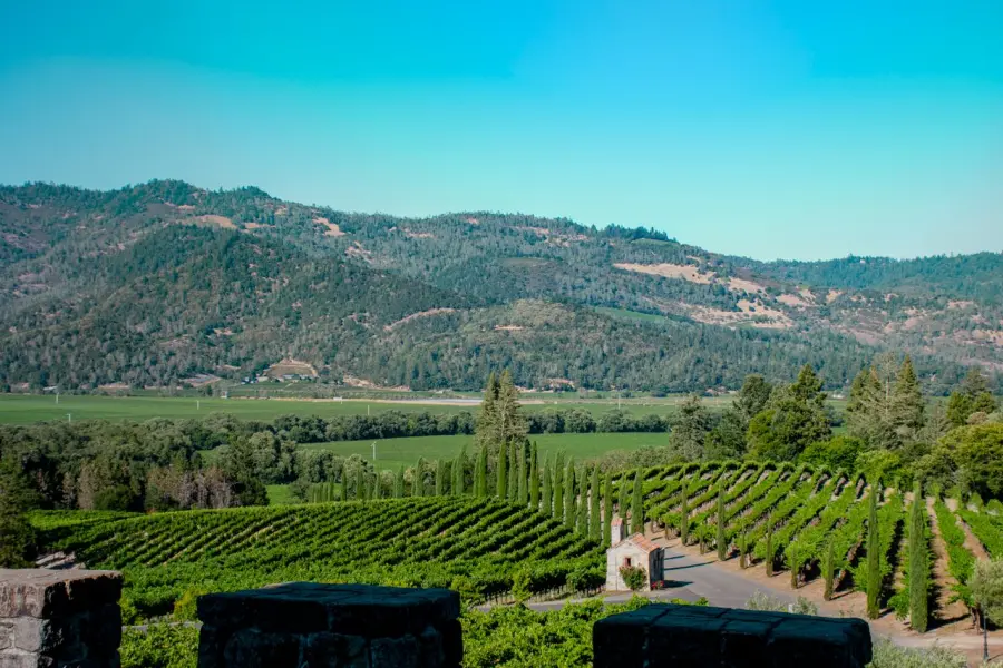 Dalla Toscana alla Napa Valley: quando l'amore per il vino attraversa l'oceano