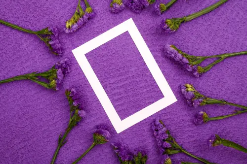 Significato del colore viola: storia e simbologia