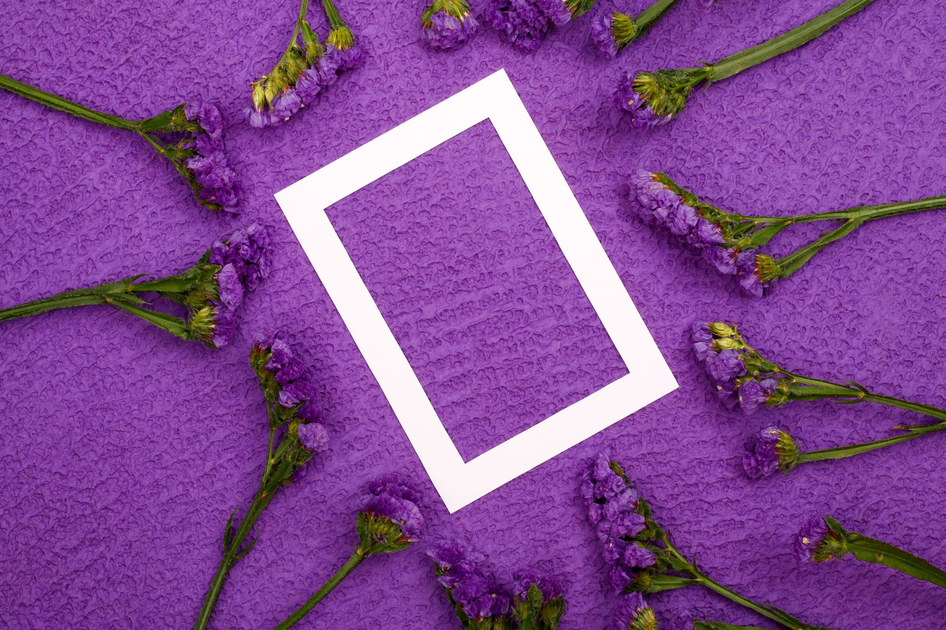 Significato del colore viola: storia e simbologia