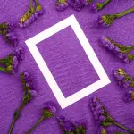 Significato del colore viola: storia e simbologia