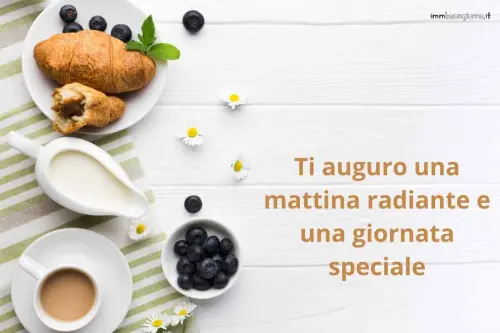 frasi e gif per WhatsApp, Facebook e Instagram