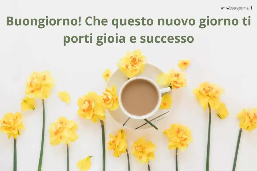 frasi e gif per WhatsApp, Facebook e Instagram