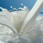 Latte scaduto: ecco le conseguenze se capita di berlo