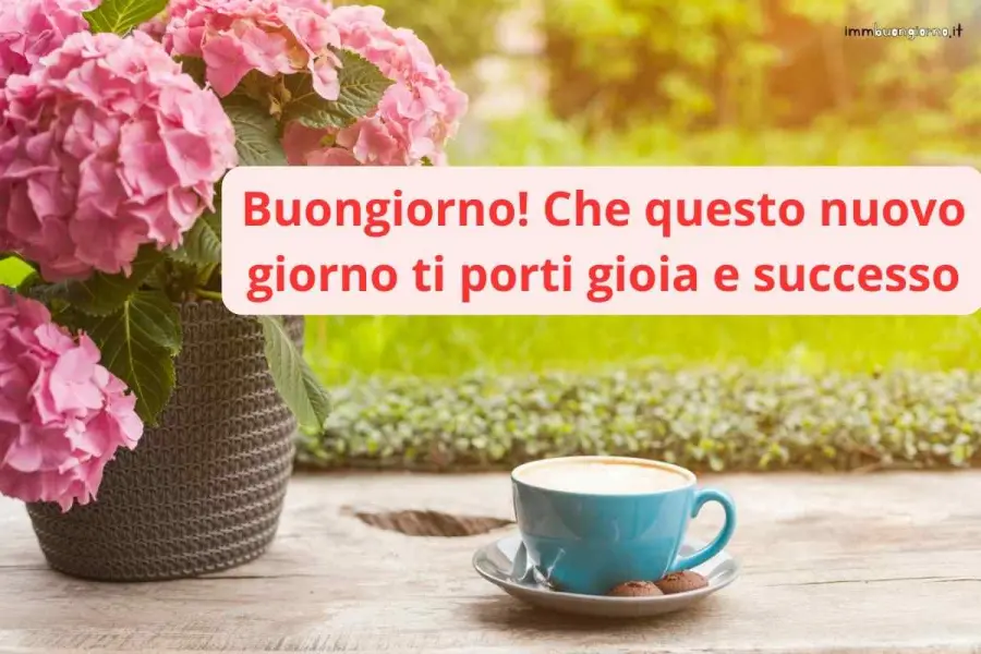 frasi e gif per WhatsApp, Facebook e Instagram