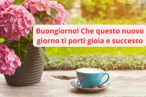 frasi e gif per WhatsApp, Facebook e Instagram