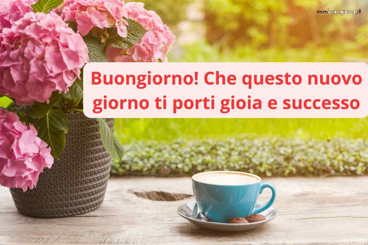 frasi e gif per WhatsApp, Facebook e Instagram