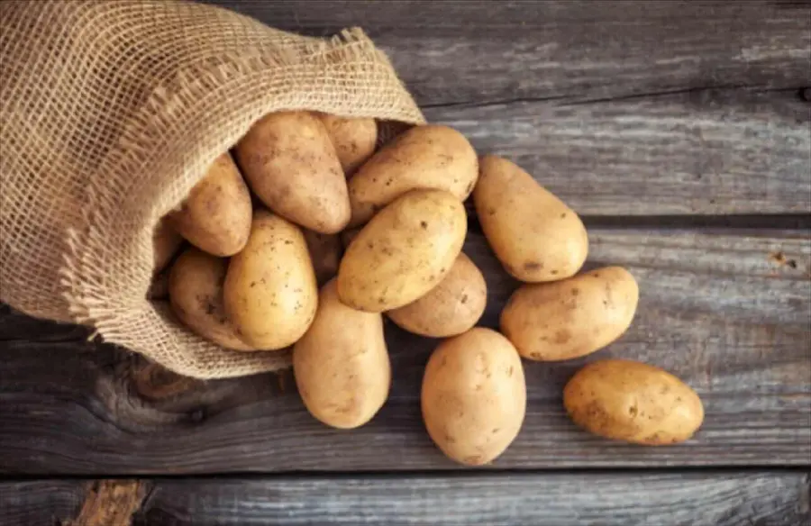 Le patate possono essere mangiate ogni giorno? Ecco la risposta