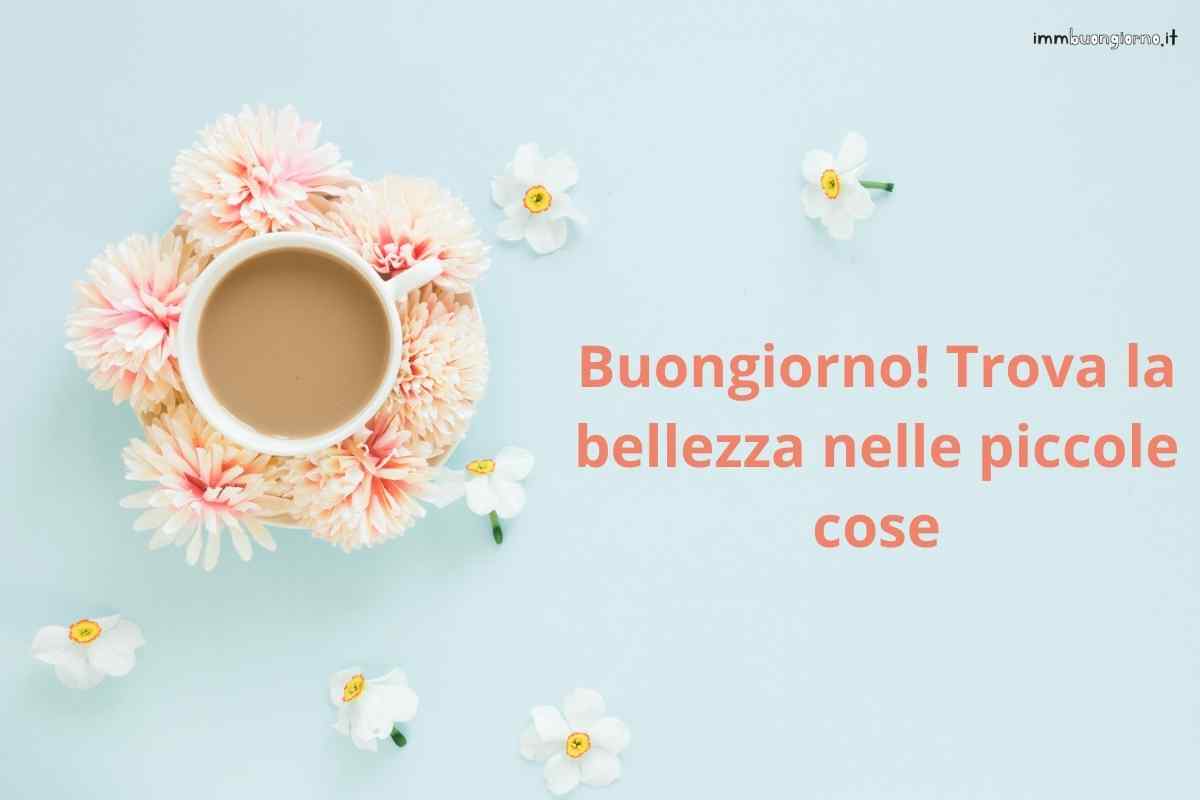 frasi e gif per WhatsApp, Facebook e Instagram