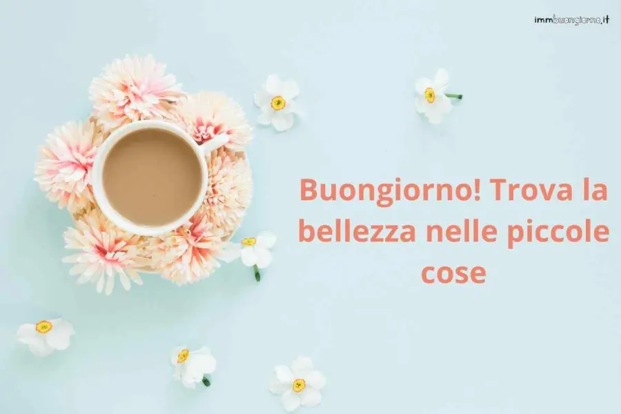 frasi e gif per WhatsApp, Facebook e Instagram