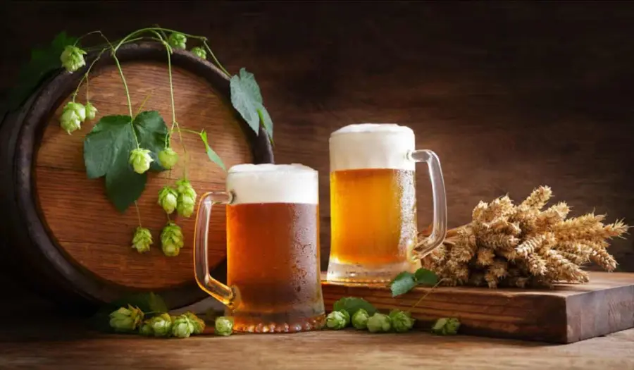 La birra si può bere tutte le sere? Ecco cosa dicono gli esperti