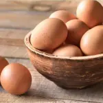 Le uova vanno messe in frigo oppure no? Ecco cosa dicono gli esperti