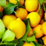 Attenzione a questi limoni al supermercato: ecco quali non comprare