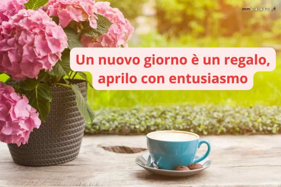 Buon lunedì | 11 marzo 2024: frasi e immagini gratis per il tuo buongiorno