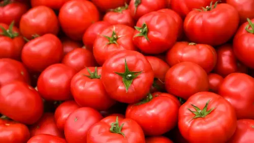 Spaccatura dei pomodori: assurdo, ecco perché avviene