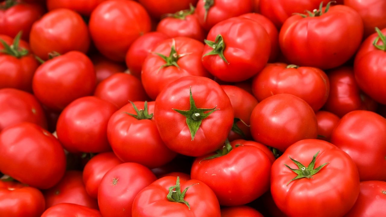 Spaccatura dei pomodori: assurdo, ecco perché avviene