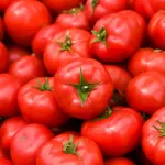 Spaccatura dei pomodori: assurdo, ecco perché avviene