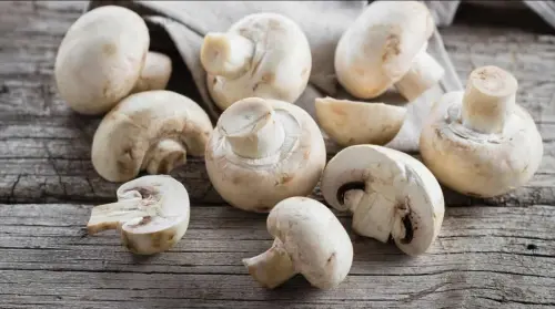 Funghi: ecco cosa succede se li si mangia crudi