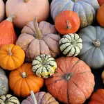 Zucca: ecco quali sono i benefici per il nostro corpo