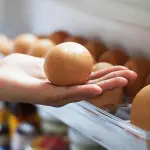 Si possono mettere le uova nel frigorifero? Ecco la verità