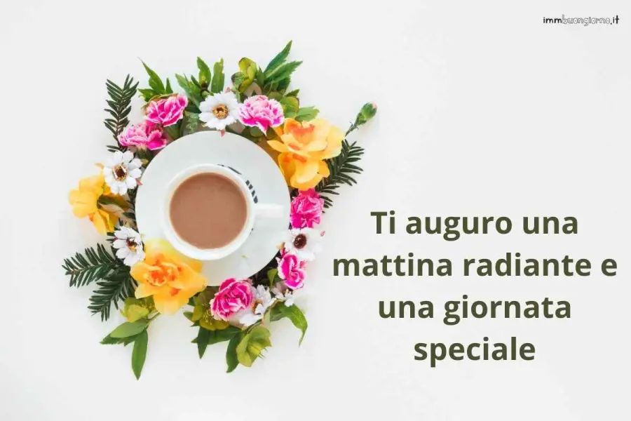 Immagini buongiorno domenica 25 febbraio 2024: frasi e gif per WhatsApp, Facebook e Instagram