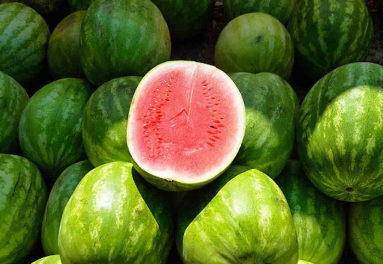 Anguria: ecco la guida per scegliere le migliori