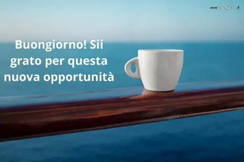 le più belle di oggi 17 febbraio 2024 per Instagram, Whatsapp e Facebook