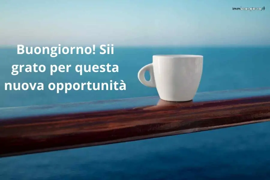 Immagini buongiorno sabato 17 febbraio 2024: frasi e gif per WhatsApp, Facebook e Instagram