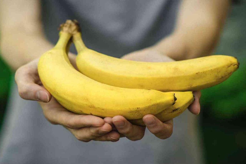 Mangiare una banana al mattino: ecco cosa accade al nostro organismo