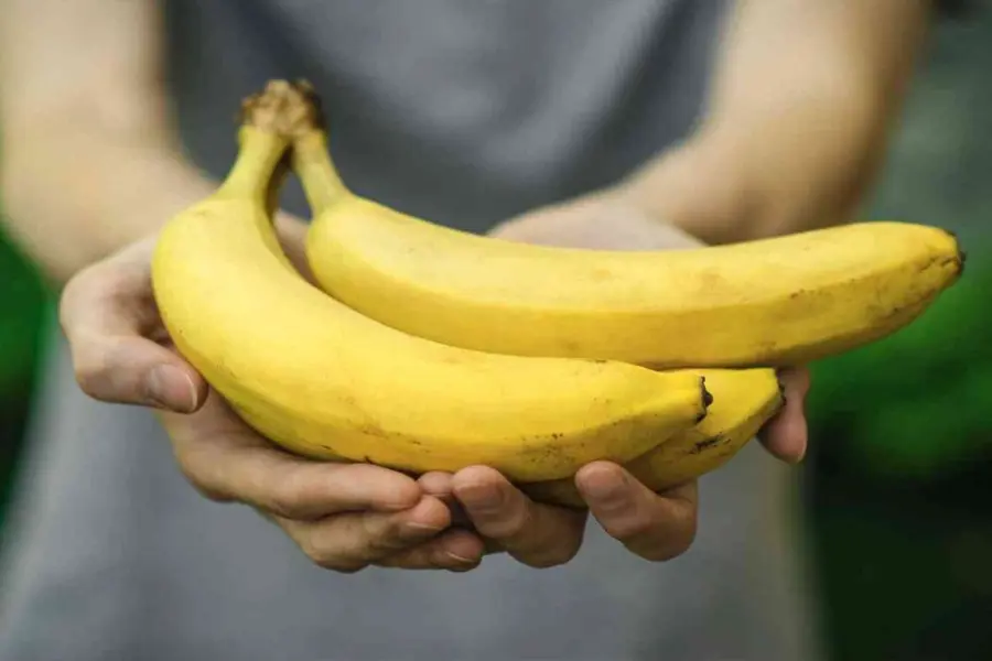 Mangiare una banana al mattino: ecco cosa accade al nostro organismo
